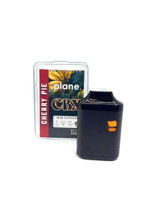 Plane Disposable